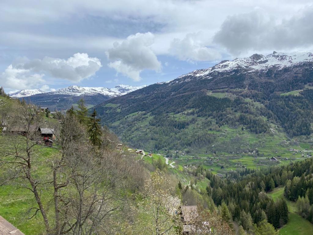 Residence Platane B Grimentz Exteriör bild